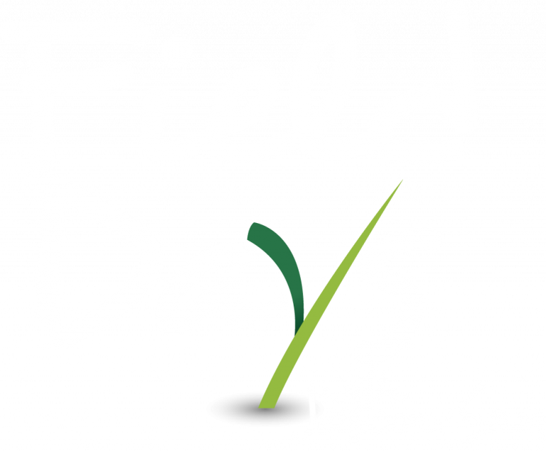 Field Days Wired Outdoors